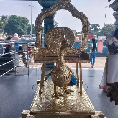Mayil Vahanam - Navalur Temple, Chennai