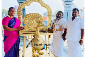 Vahanam for Temple (1)