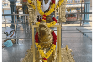 Vahanam for Temple (4)