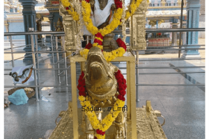 Vahanam for Temple (4)
