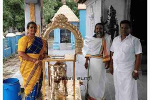 divine-vahanam-temple-deity-vehicles-15
