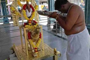 mooshika-munjur-vahanam-mouse-sculpture-7