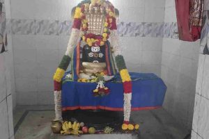 shiva-lingam-naga-kavasam-serpent-3