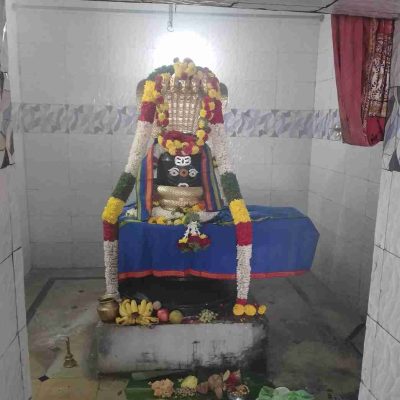 shiva-lingam-naga-kavasam-serpent-3
